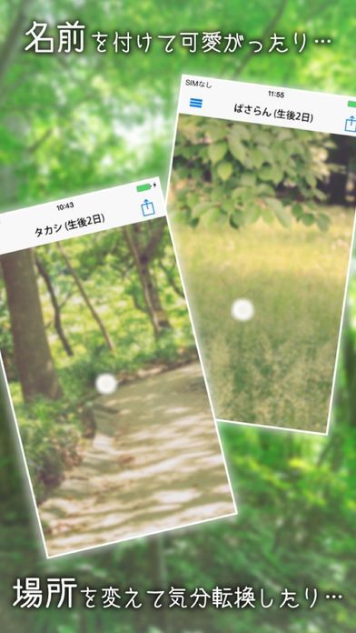 ケサランパサラン - 不思議な生き物を育成してみませんか？【癒し系育成ゲーム】游戏截图