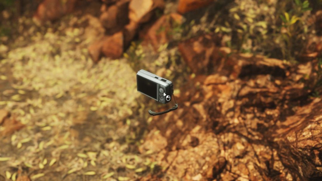 Lushfoil Photography Sim游戏截图