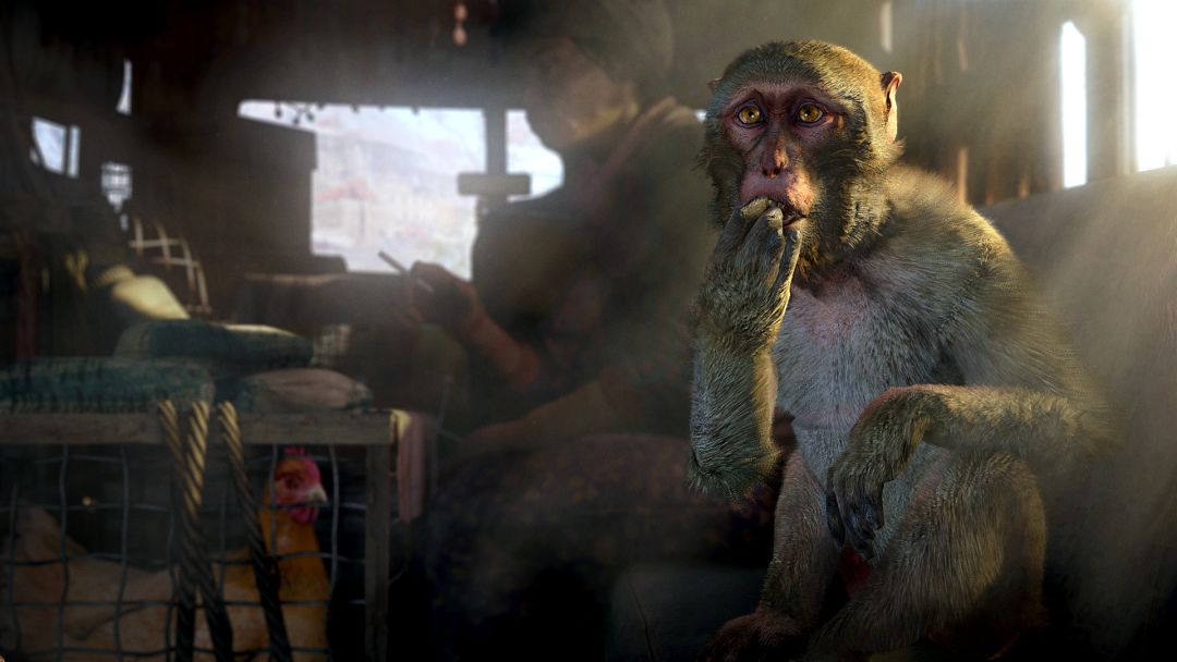 Far Cry® 4游戏截图
