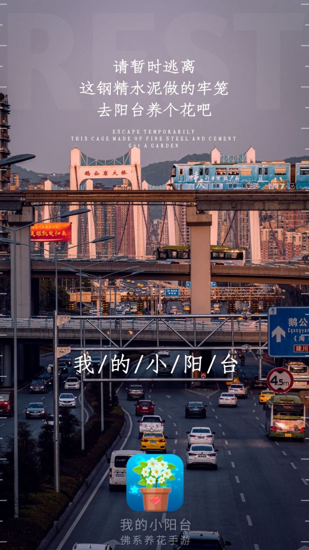 我的小阳台游戏截图