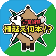 打撃練習-柵越え何本⁉