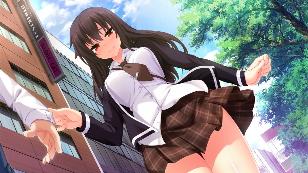 The Princess, the Stray Cat, and Matters of the Heart游戏截图