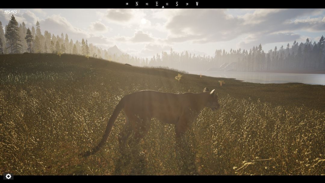 Untamed Kingdom游戏截图