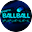 PINPIN BALLBALLicon