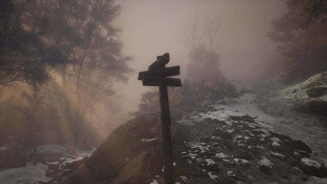 Lushfoil Photography Sim游戏截图