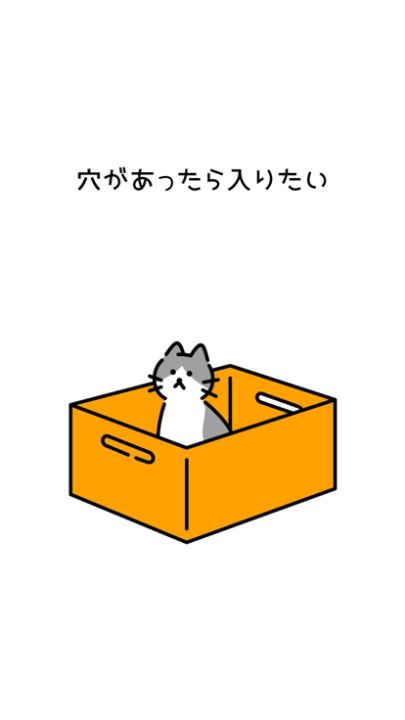HOLE IN BALL|ボールを入れた回数を競え!游戏截图