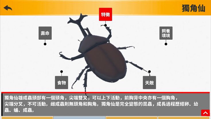 昆蟲飼養日記游戏截图