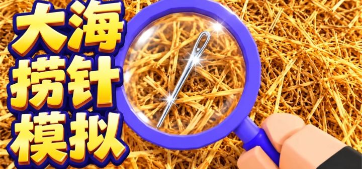 大海捞针模拟 封面
