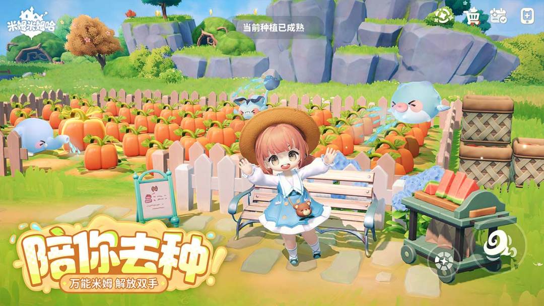 米姆米姆哈游戏截图
