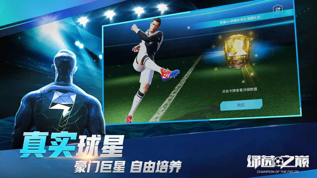 绿茵之巅游戏截图