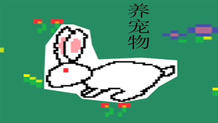 养宠物 封面