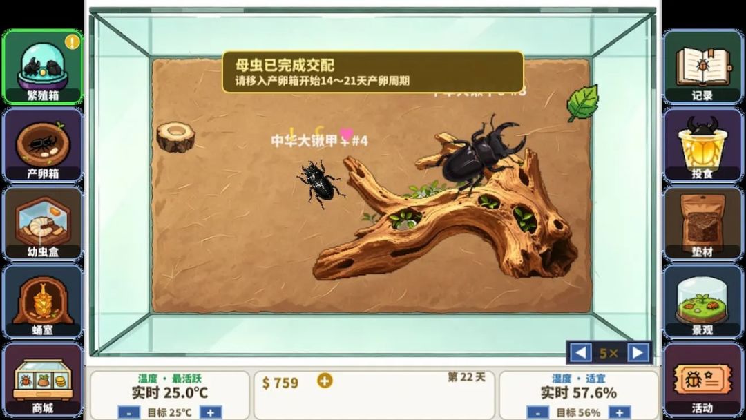 甲虫养殖大师游戏截图