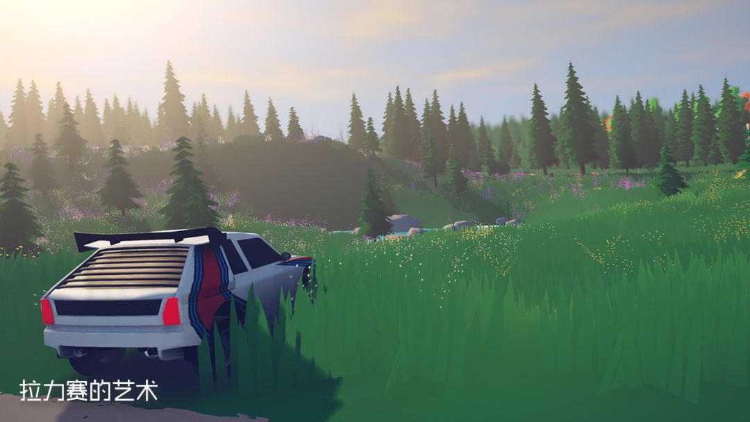 拉力赛的艺术游戏截图