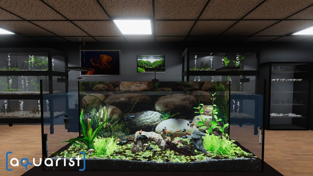Aquarist - 建造水族馆,繁殖鱼类,拓展你的业务!游戏截图