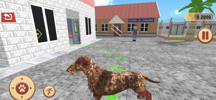 Craft Animal Rescue Shelter 3D游戏截图
