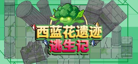 西蓝花遗迹逃生记 封面