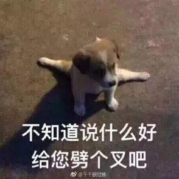 就决定是你了！星弧公测图标！