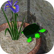 脱出ゲーム-Tortoiseshell15-