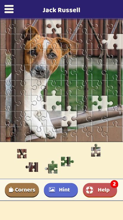 Jack Russell Puzzle游戏截图