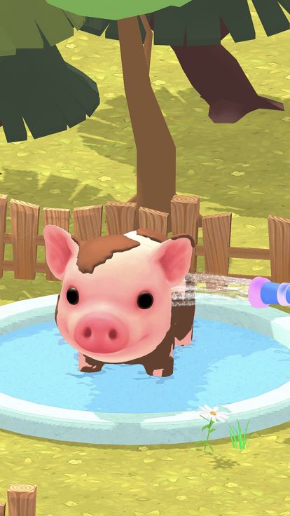 ASMR Pet Salon游戏截图