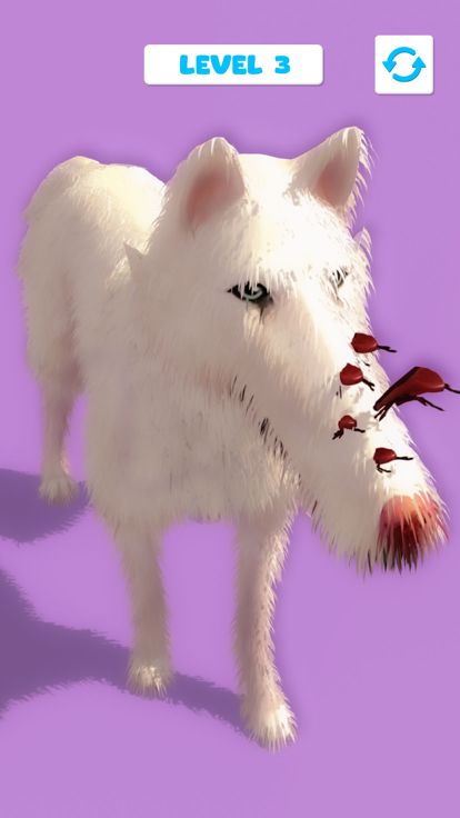 Dog ASMR: Makeover & Skin care游戏截图