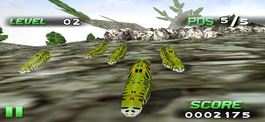 Insect Race游戏截图