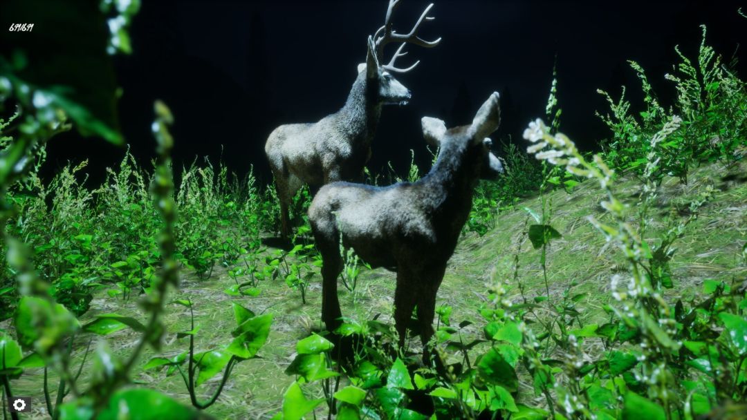 Untamed Kingdom游戏截图