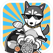 养只二哈不容易3icon