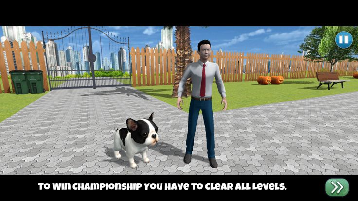 Virtual Dog Adventure游戏截图