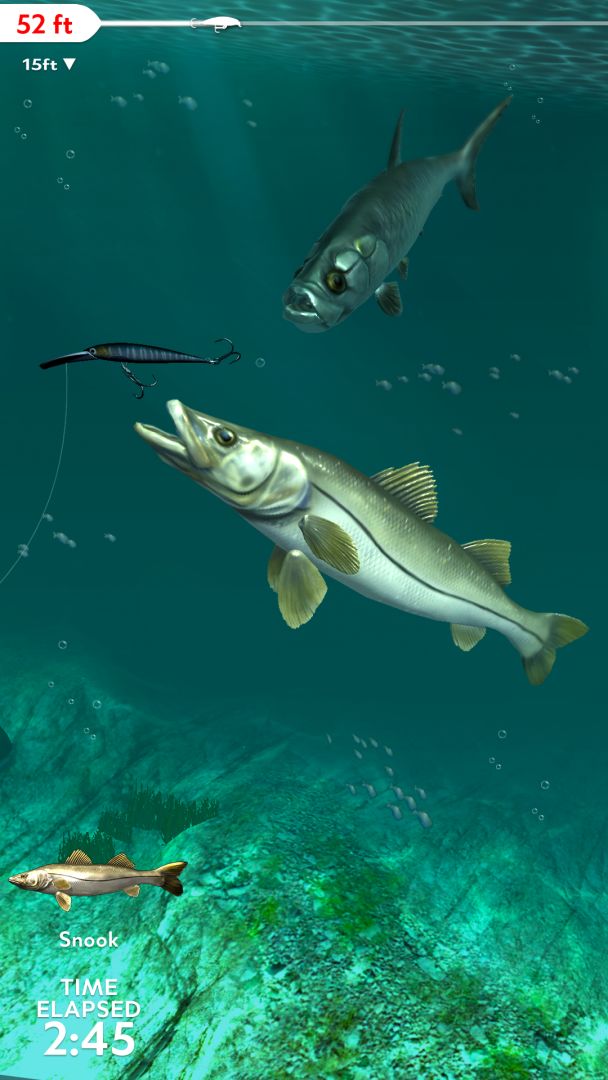 Rapala Fishing - Daily Catch游戏截图