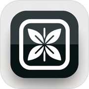 WinDash: Lumiicon