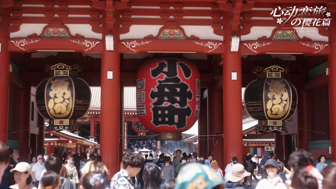 心动恋旅：樱花篇游戏截图
