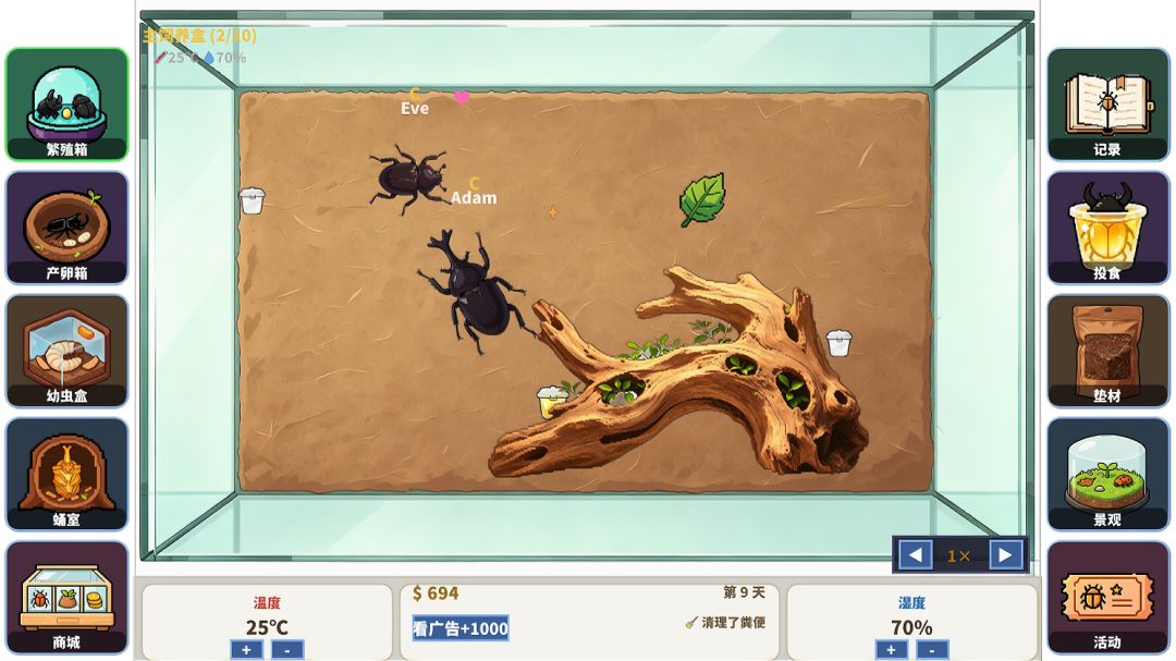 甲虫养殖大师游戏截图