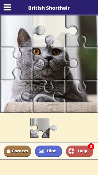 British Shorthair Puzzle游戏截图