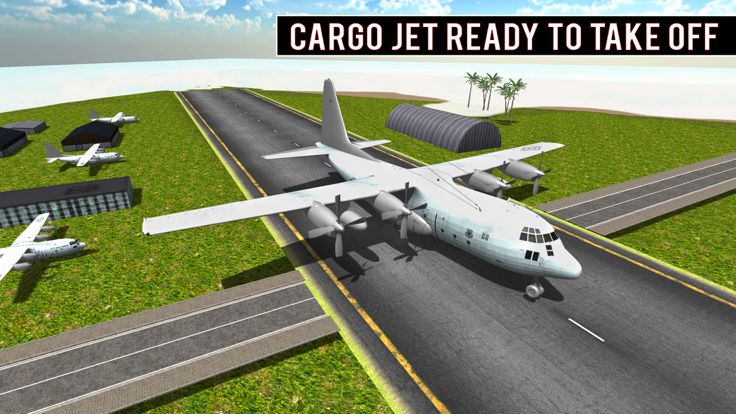 Modern Car Transporter plane游戏截图