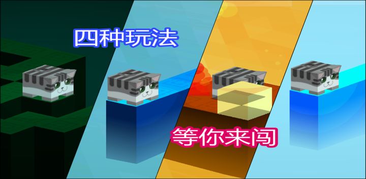 方猫大作战 封面