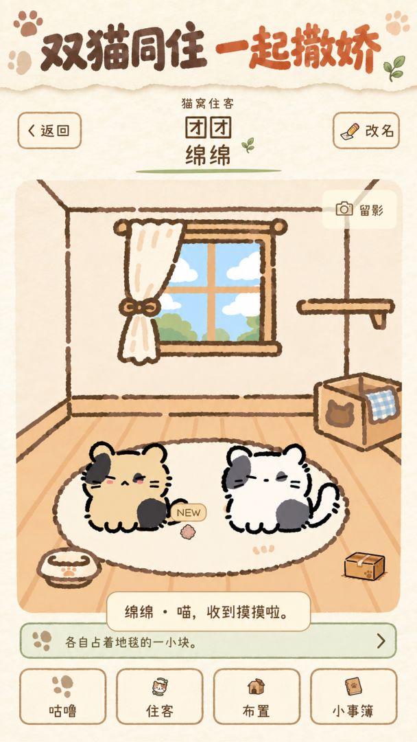 纸箱猫游戏截图