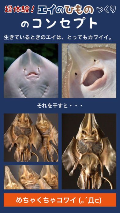 超体験！エイのひものつくり［何コレ！？］游戏截图