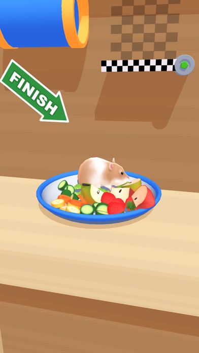 Hamster Maze游戏截图