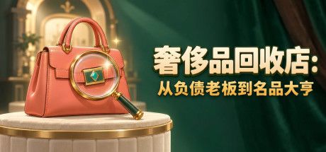 奢侈品回收店：从负债老板到名品大亨 封面