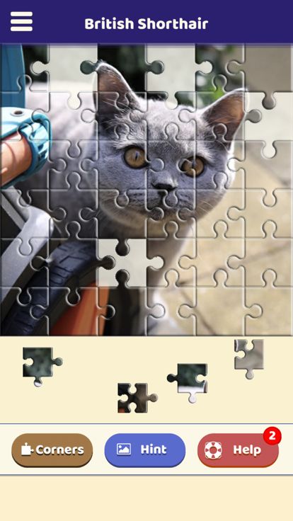 British Shorthair Puzzle游戏截图