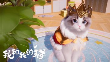 复活吧，我的猫猫