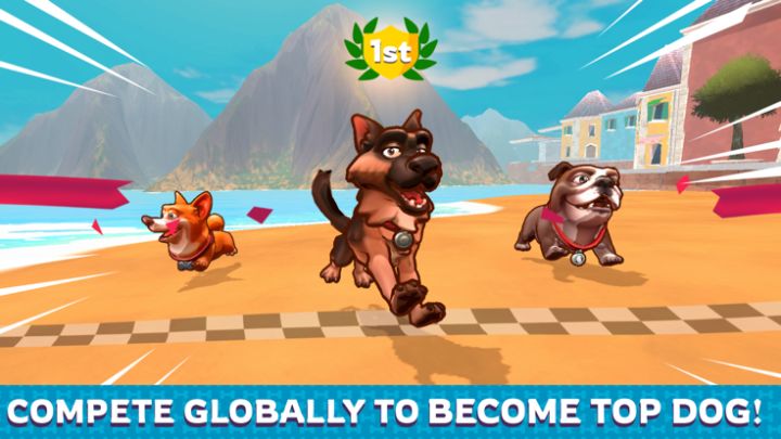Dog Game游戏截图