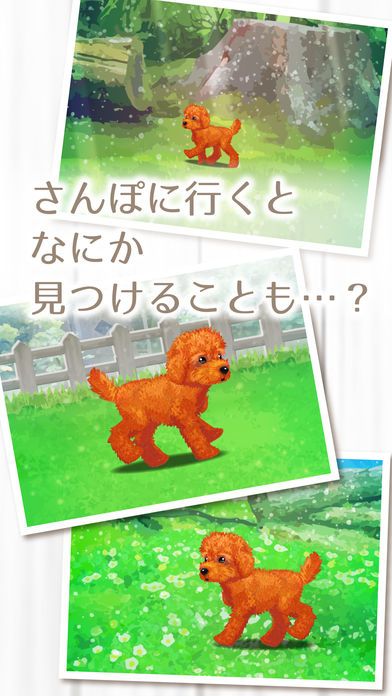 My Dog Life -Toy Poodle Edition-游戏截图
