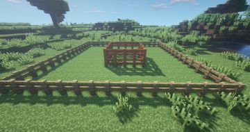 神奇动物去哪里？这次给新伙伴造一个“大”窝！