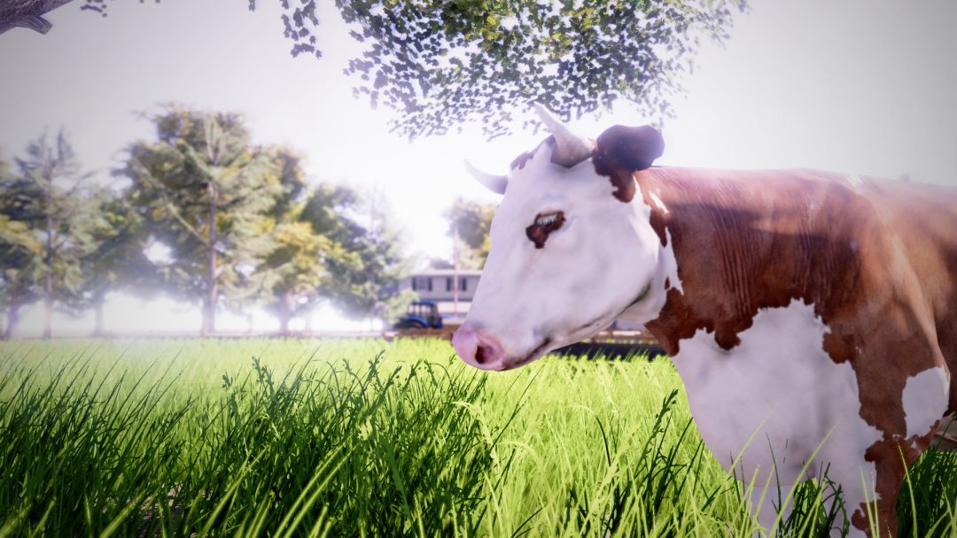 Real Farm游戏截图