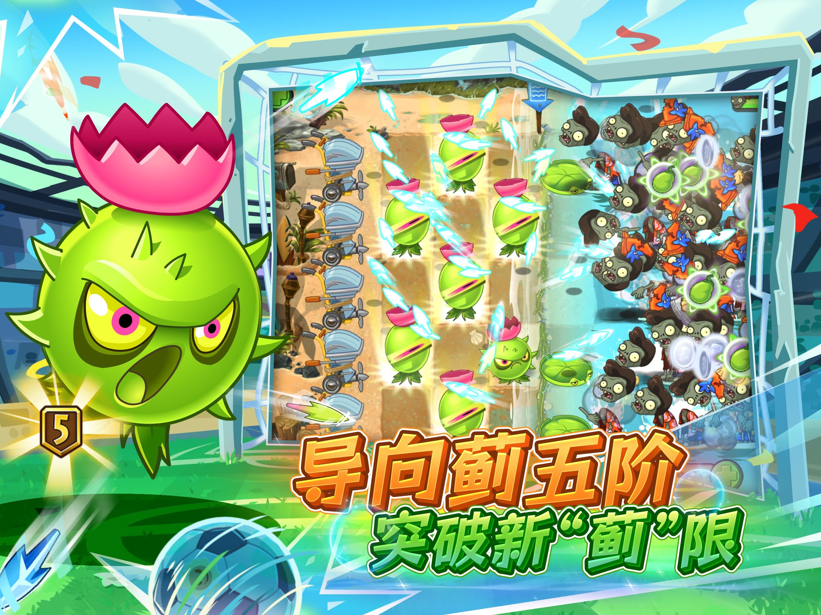 全新5阶导向蓟
