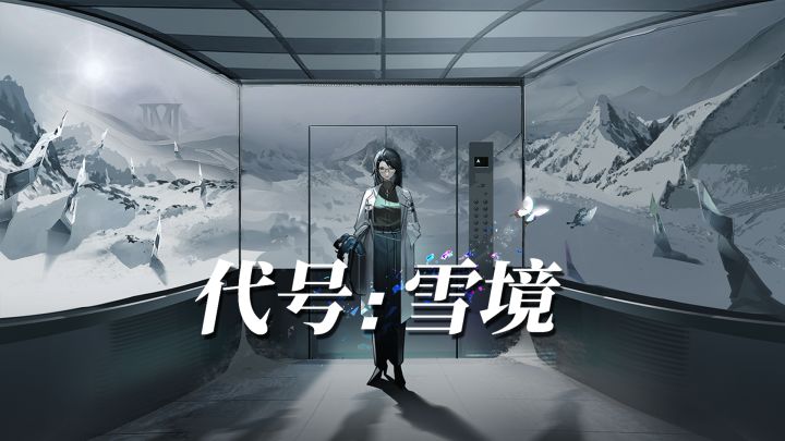 代号:雪境 封面