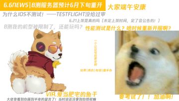 端午安康，考试党加油❤