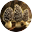 Morels: The Hunt